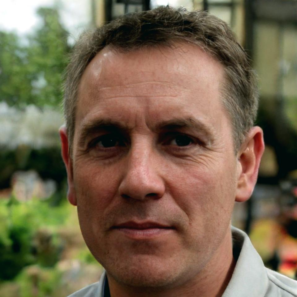 Lukas Bergmann Beauty-Experte und Trend-Analyst